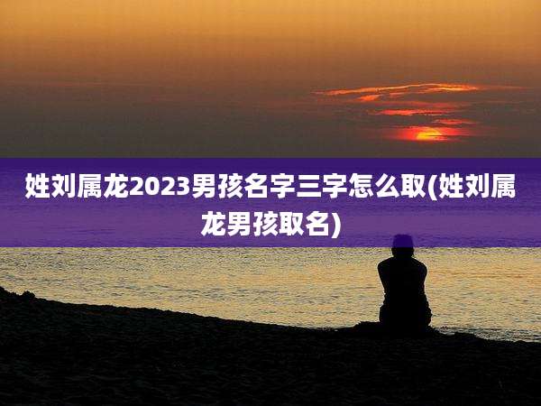 姓刘属龙2023男孩名字三字怎么取(姓刘属龙男孩取名)