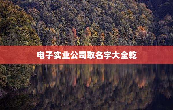 电子实业公司取名字大全乾