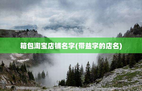 箱包淘宝店铺名字(带益字的店名)