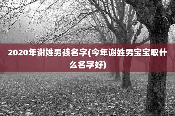 2020年谢姓男孩名字(今年谢姓男宝宝取什么名字好)
