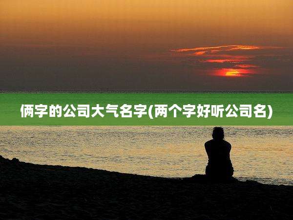 俩字的公司大气名字(两个字好听公司名)
