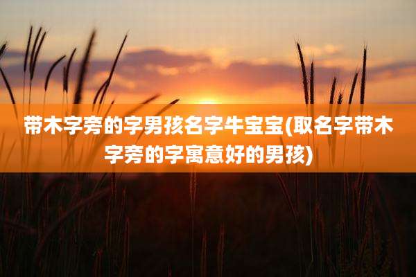 带木字旁的字男孩名字牛宝宝(取名字带木字旁的字寓意好的男孩)