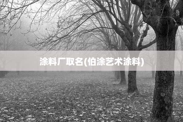 涂料厂取名(伯涂艺术涂料)