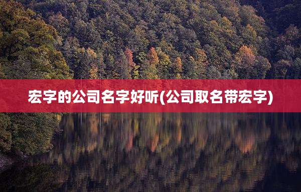宏字的公司名字好听(公司取名带宏字)