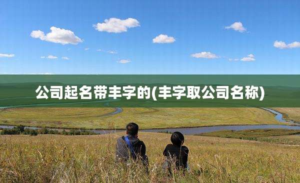 公司起名带丰字的(丰字取公司名称)