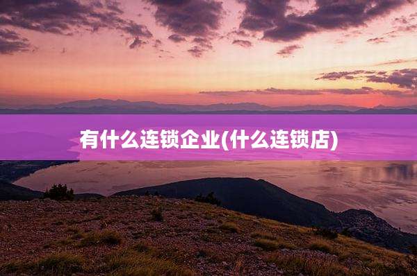 有什么连锁企业(什么连锁店)