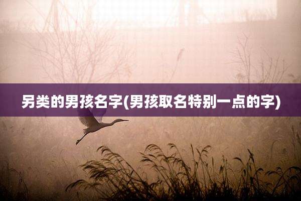另类的男孩名字(男孩取名特别一点的字)