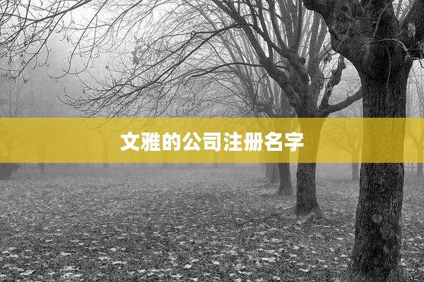 文雅的公司注册名字