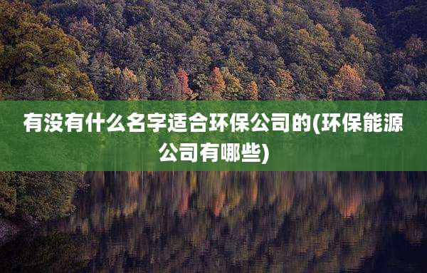 有没有什么名字适合环保公司的(环保能源公司有哪些)