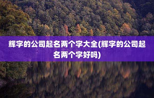 辉字的公司起名两个字大全(辉字的公司起名两个字好吗)
