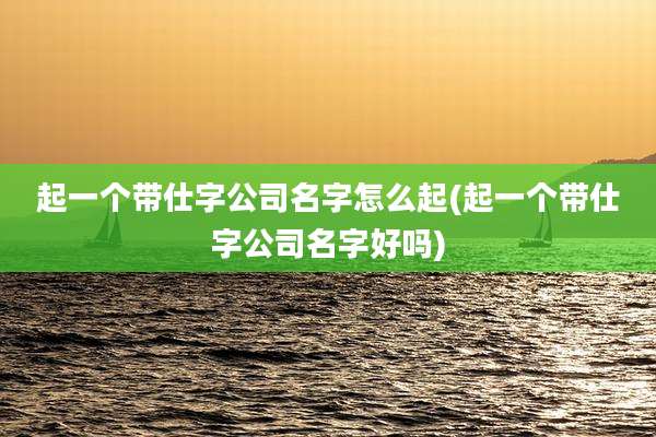 起一个带仕字公司名字怎么起(起一个带仕字公司名字好吗)