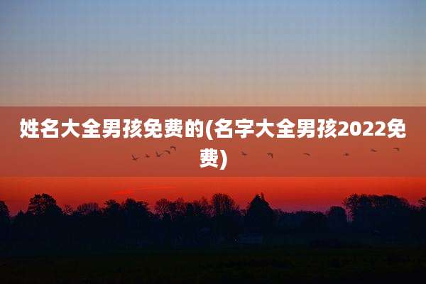 姓名大全男孩免费的(名字大全男孩2022免费)