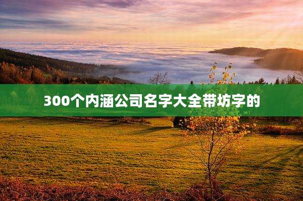300个内涵公司名字大全带坊字的