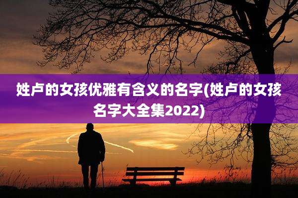 姓卢的女孩优雅有含义的名字(姓卢的女孩名字大全集2022)