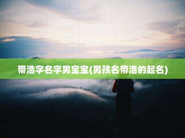 带浩字名字男宝宝(男孩名带浩的起名)