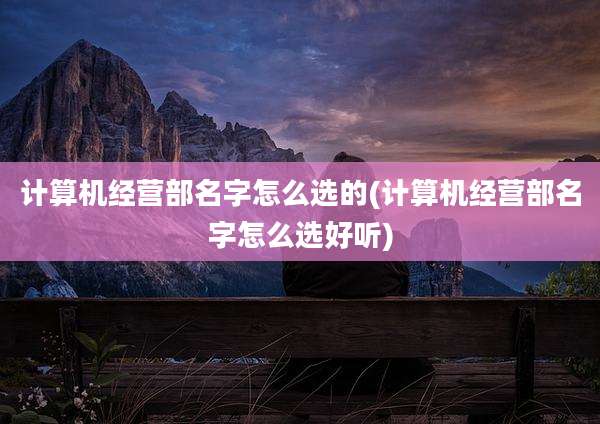 计算机经营部名字怎么选的(计算机经营部名字怎么选好听)
