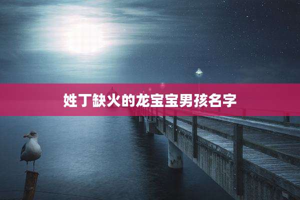 姓丁缺火的龙宝宝男孩名字