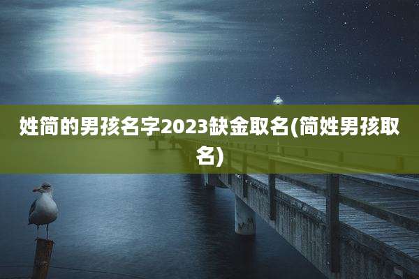 姓简的男孩名字2023缺金取名(简姓男孩取名)