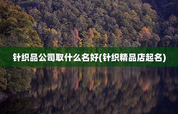 针织品公司取什么名好(针织精品店起名)