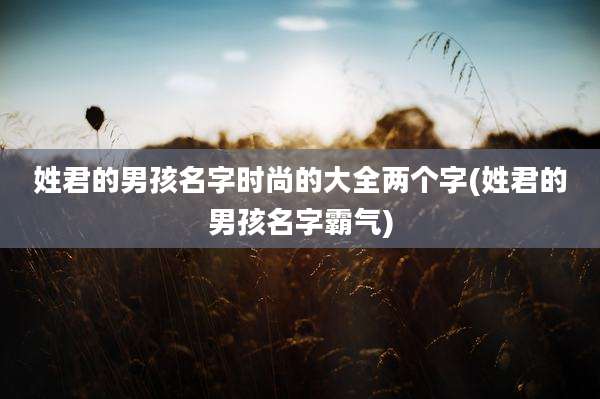 姓君的男孩名字时尚的大全两个字(姓君的男孩名字霸气)