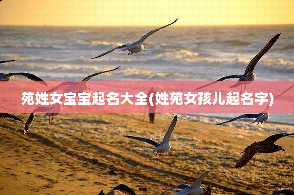 苑姓女宝宝起名大全(姓苑女孩儿起名字)