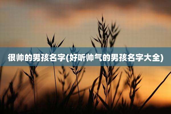 很帅的男孩名字(好听帅气的男孩名字大全)