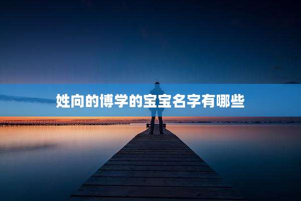 姓向的博学的宝宝名字有哪些