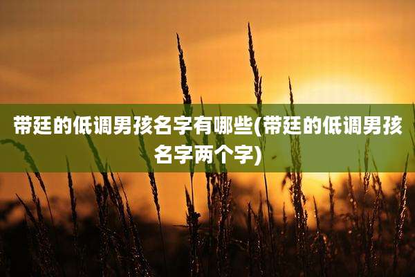 带廷的低调男孩名字有哪些(带廷的低调男孩名字两个字)