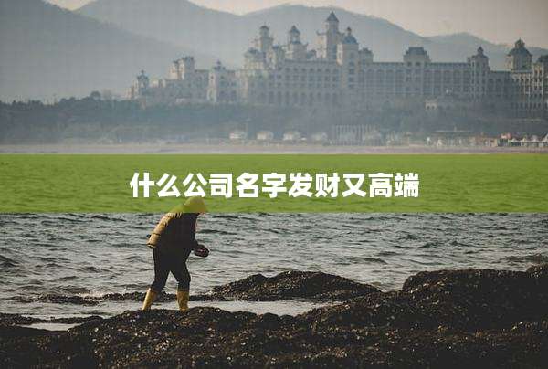 什么公司名字发财又高端