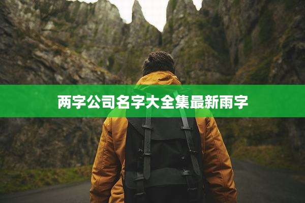 两字公司名字大全集最新雨字