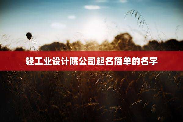 轻工业设计院公司起名简单的名字