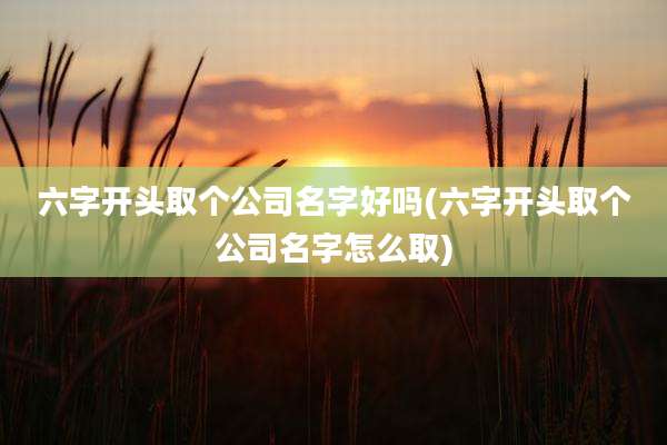 六字开头取个公司名字好吗(六字开头取个公司名字怎么取)