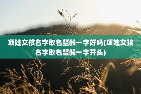 项姓女孩名字取名坚毅一字好吗(项姓女孩名字取名坚毅一字开头)
