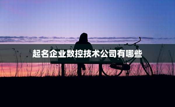 起名企业数控技术公司有哪些