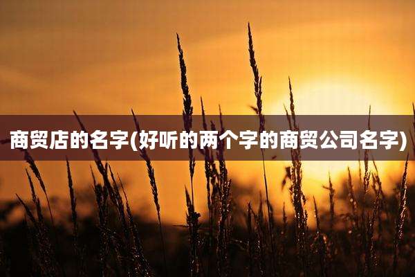 商贸店的名字(好听的两个字的商贸公司名字)