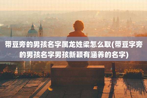 带豆旁的男孩名字属龙姓梁怎么取(带豆字旁的男孩名字男孩新颖有涵养的名字)