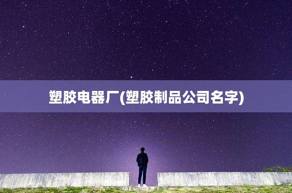 塑胶电器厂(塑胶制品公司名字)