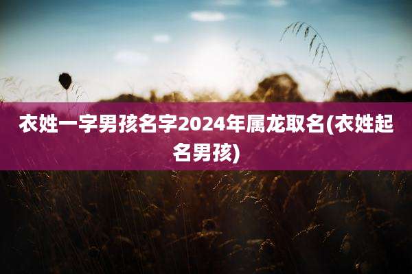 衣姓一字男孩名字2024年属龙取名(衣姓起名男孩)