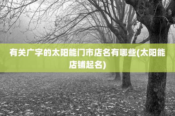 有关广字的太阳能门市店名有哪些(太阳能店铺起名)