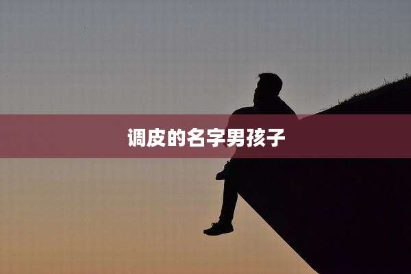 调皮的名字男孩子