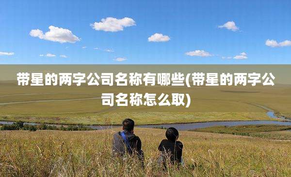 带星的两字公司名称有哪些(带星的两字公司名称怎么取)