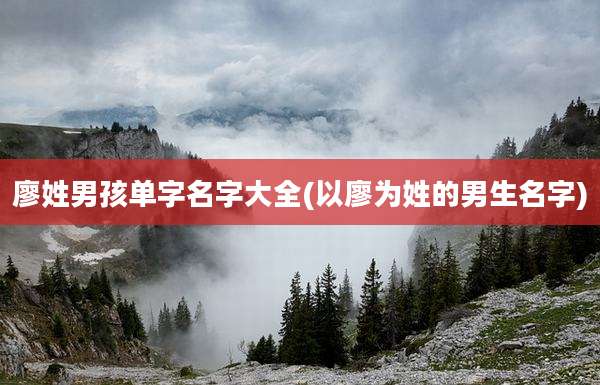 廖姓男孩单字名字大全(以廖为姓的男生名字)