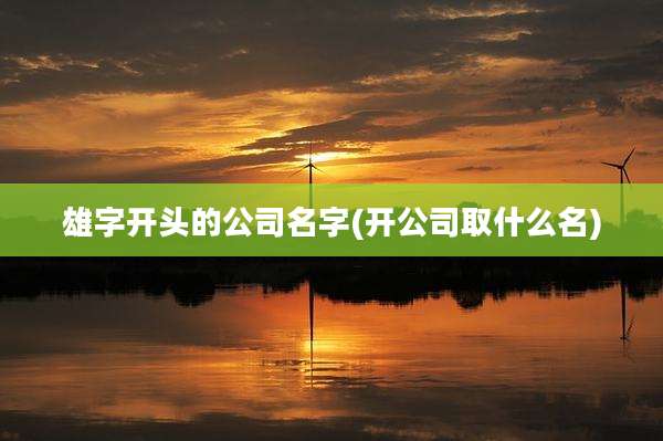 雄字开头的公司名字(开公司取什么名)