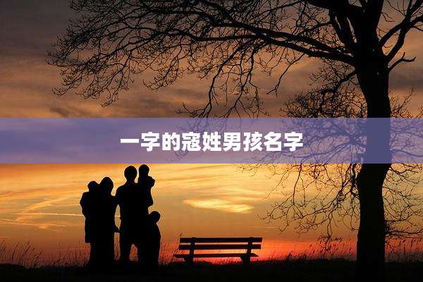 一字的寇姓男孩名字