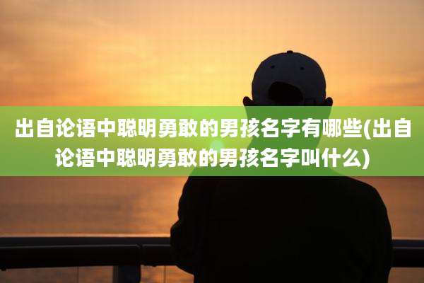 出自论语中聪明勇敢的男孩名字有哪些(出自论语中聪明勇敢的男孩名字叫什么)