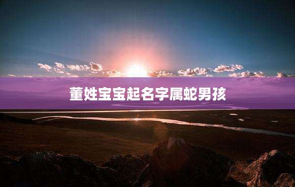 董姓宝宝起名字属蛇男孩