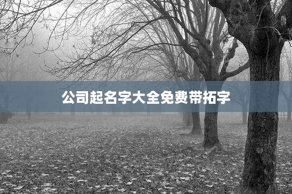 公司起名字大全免费带拓字