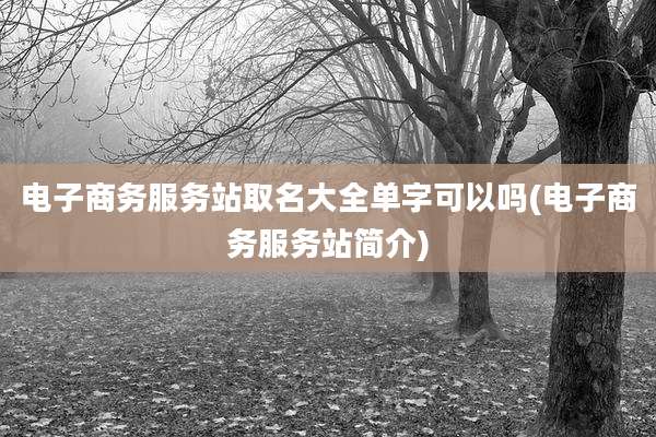 电子商务服务站取名大全单字可以吗(电子商务服务站简介)