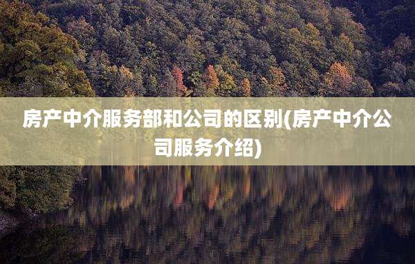 房产中介服务部和公司的区别(房产中介公司服务介绍)
