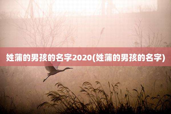 姓蒲的男孩的名字2020(姓蒲的男孩的名字)